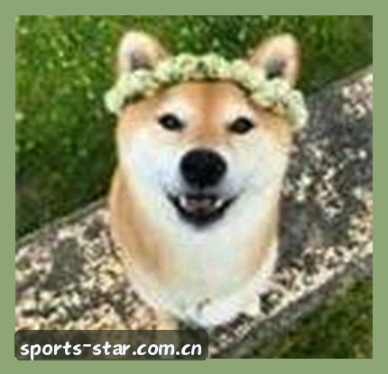 阿强